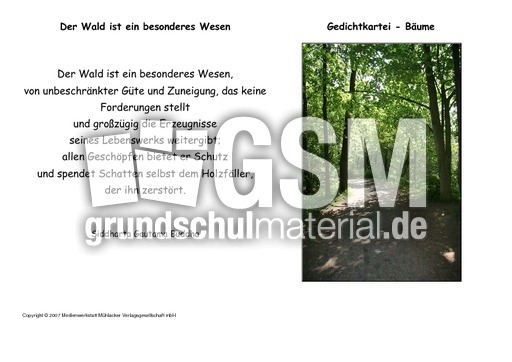 Der-Wald-ist-Budda.pdf